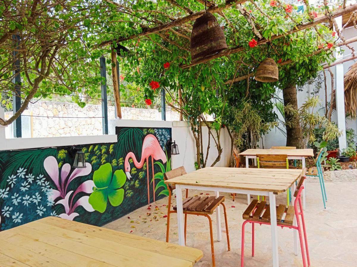 Tribe Inn Jungle & Flamingo Bayahibe Εξωτερικό φωτογραφία